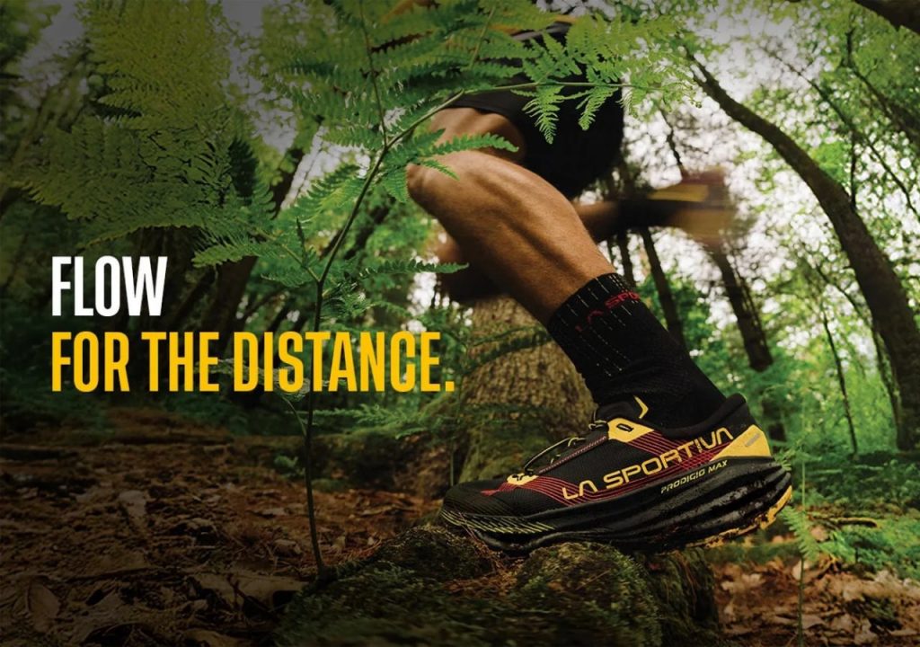 Course en forêt avec chaussures La Sportiva.