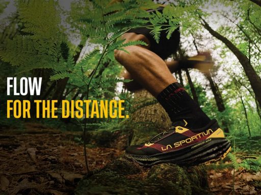 Course en forêt avec chaussures La Sportiva.