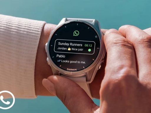 whatsapp garmin
